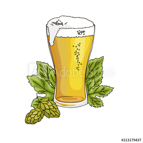 500x500 Vector Contour Color Gold Beer Drink In Glass With Foam Hop Leaf