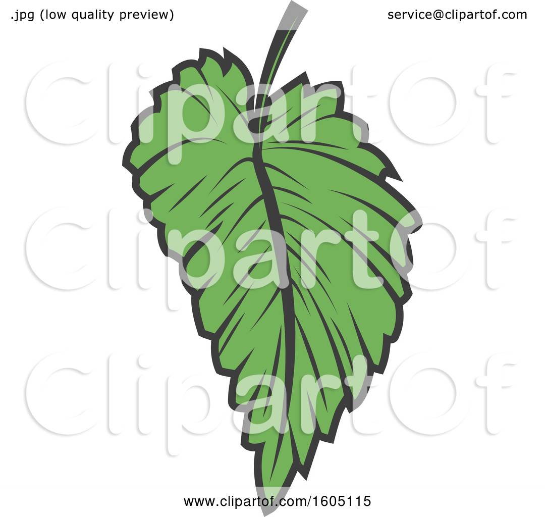 1080x1024 Clipart Of A Green Beer Hop Leaf