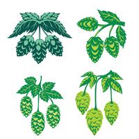 200x200 Hops Free Vector Art