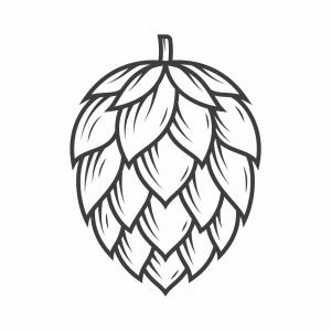 300x300 Hops Vector Design Template Gm Createmepink