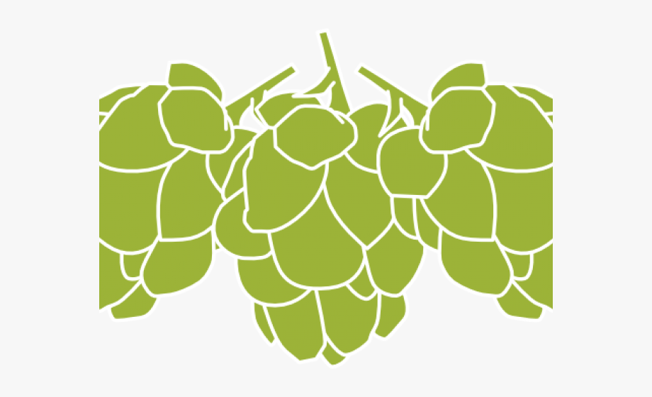 920x560 Malt Clipart Hop Vector
