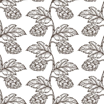 416x416 Hand Drawn Hops Seamless Common Hop Vector Floral Background