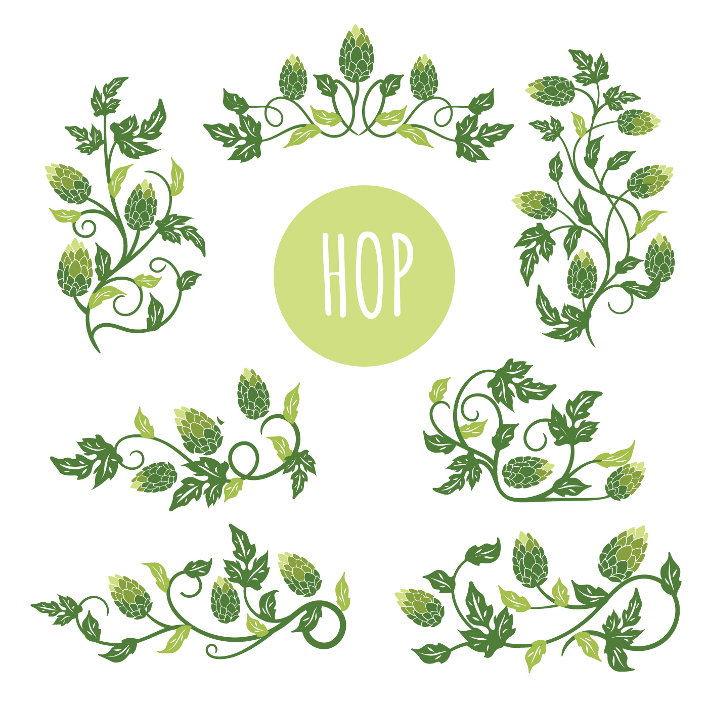 1400x1400 Green Hop Plant, Sketch Style Vector Illustration Isolated