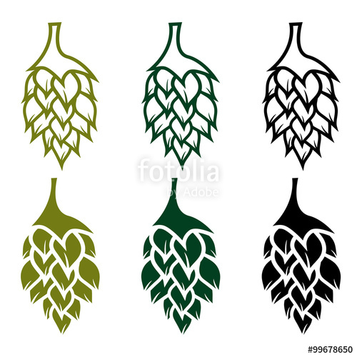 500x500 Hops Vector Design Template Stock Image And Royalty Free Vector