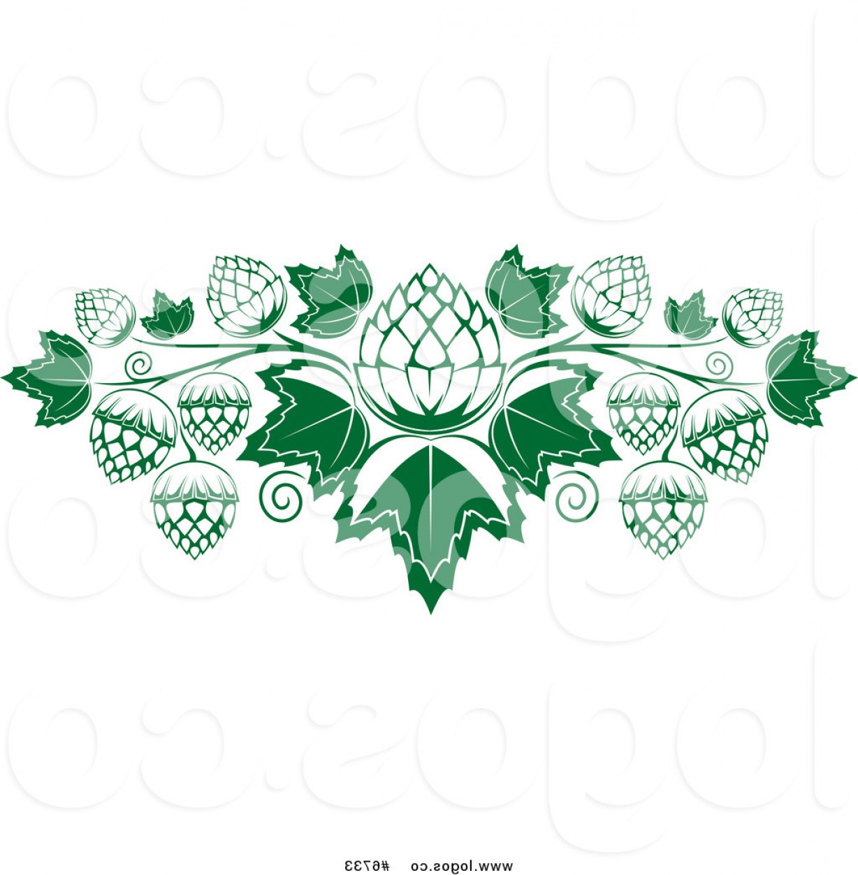1228x1252 Royalty Free Vector Of A Hops And Leaves Logo