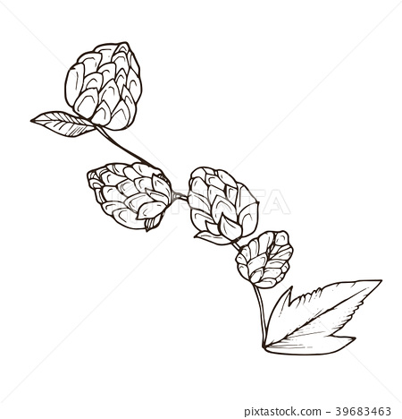 450x468 Beer Hop Vector