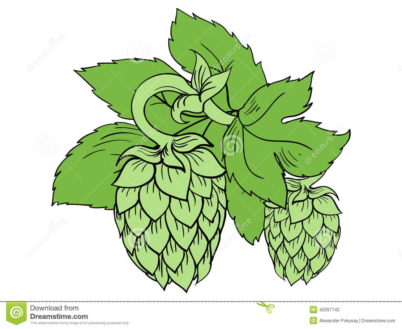 1300x1065 Free Vector Hops And Barley