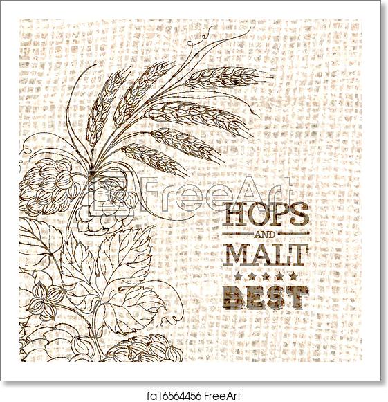 561x581 Free Art Print Of Decorative Hops Vector Illustration Border