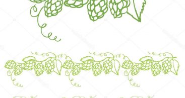 367x195 Hops Border Vector Archives