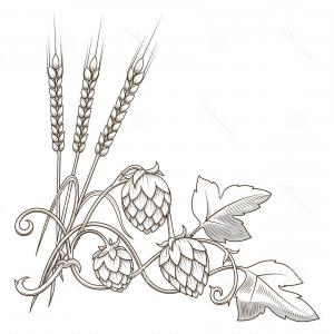 300x300 Hops Leaves On Curly Vine Catchsplace