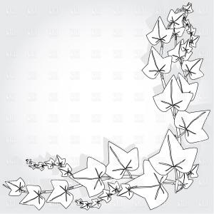 300x300 Hops Plant Twined Vine Young Leaves Hoodamath