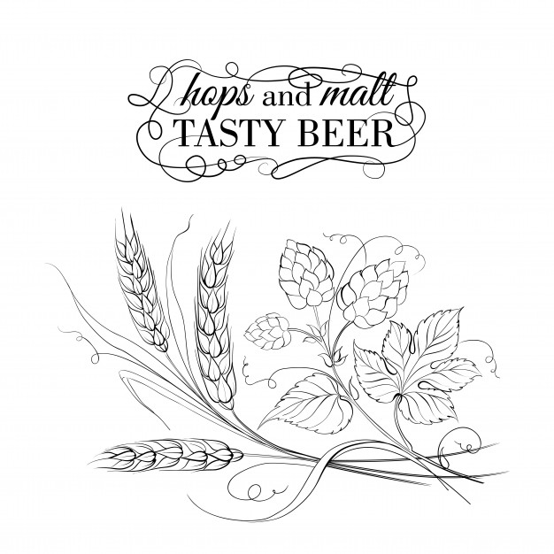 626x626 Hops Vectors, Photos And Free Download