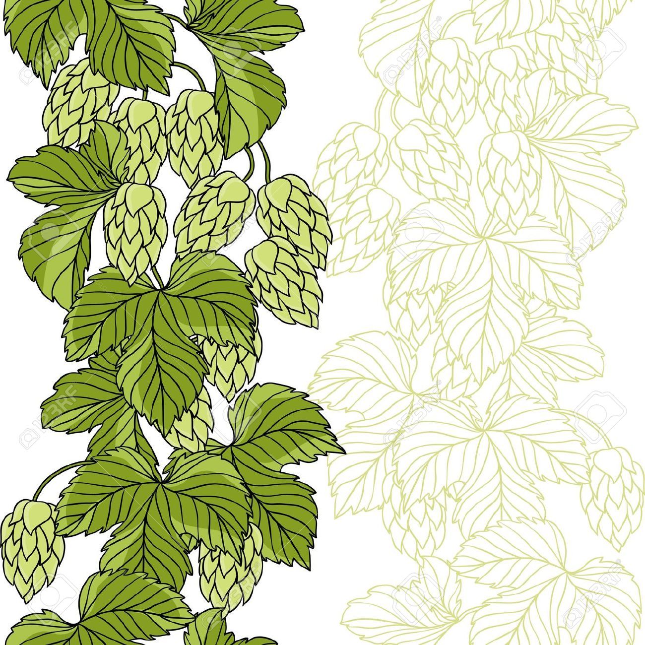 1300x1300 Irish Beer Label Stock Vector Illustration And Royalty Free Irish