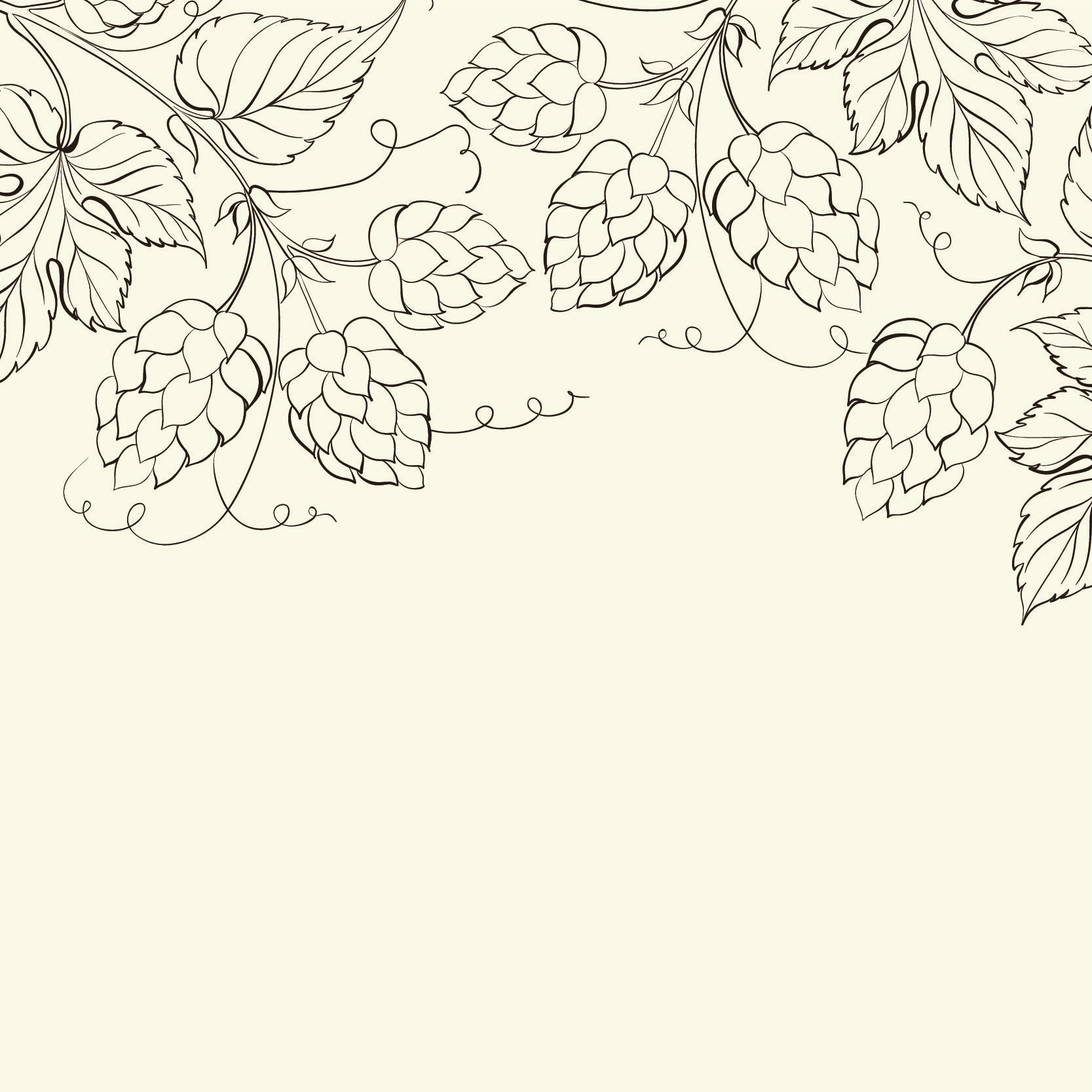 1667x1667 Hops Hop Tattoo, Vine Drawing, Drawings