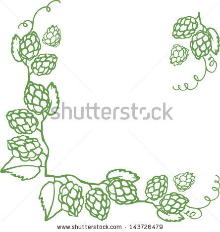 444x470 Decorative Hops Vector Illustration Border