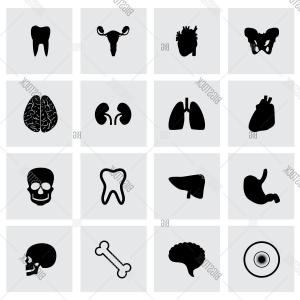 300x300 Hand Drawn Skull Hop Vines Catchsplace