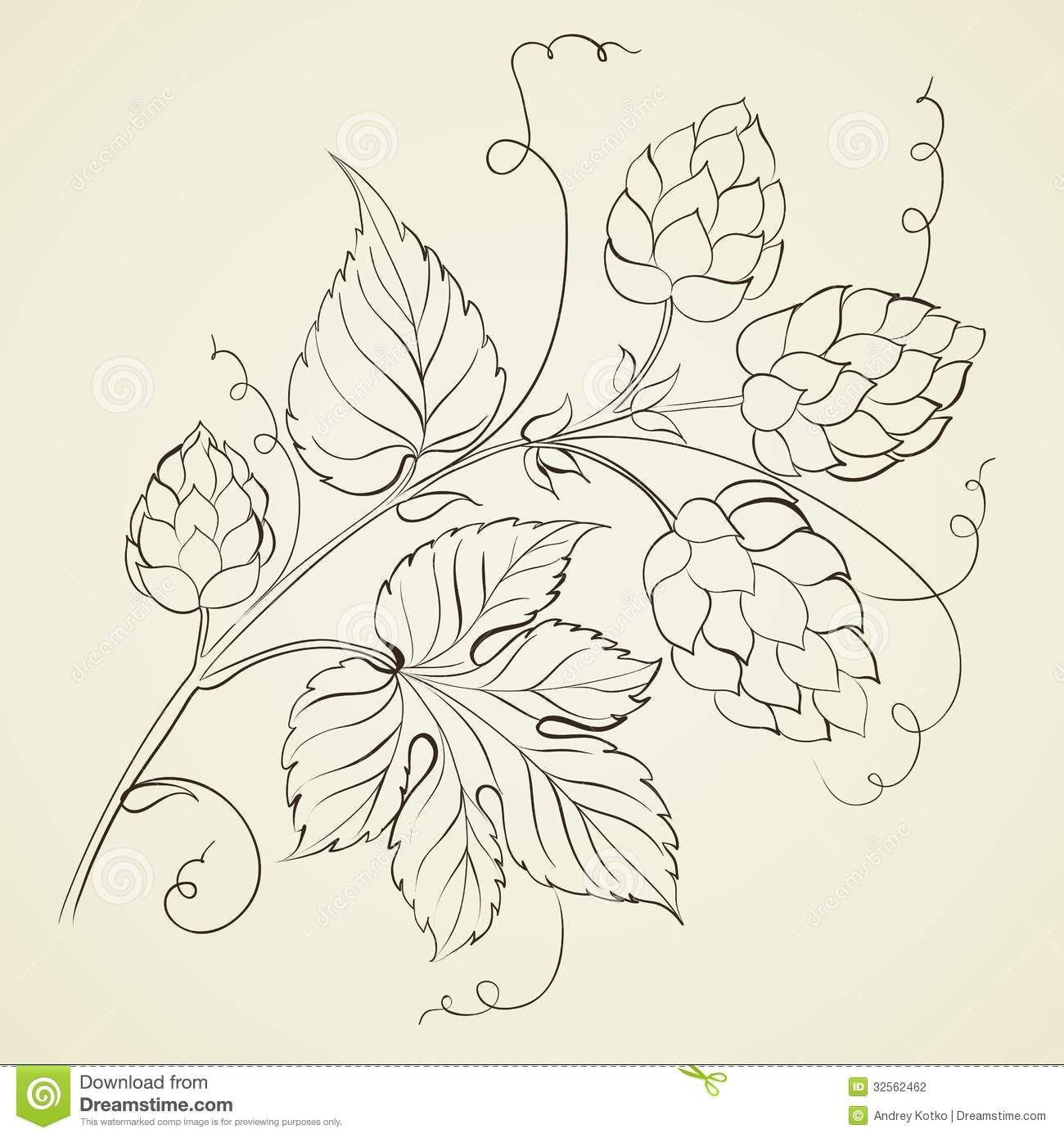 1300x1390 Hop Vine Illustration Needle Craft Patterns