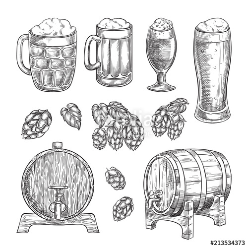 500x500 Beer Sketch Vector Illustration Glasses, Mugs, Hops, Barrel Hand