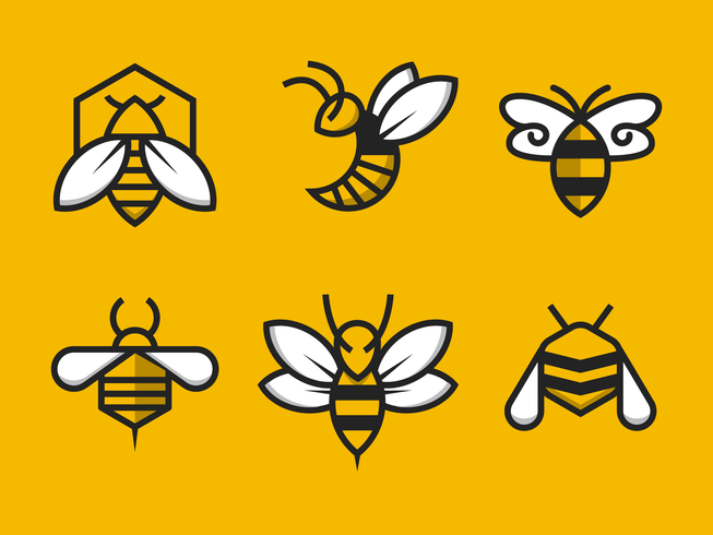 653x490 Free Hornets Logo Vector