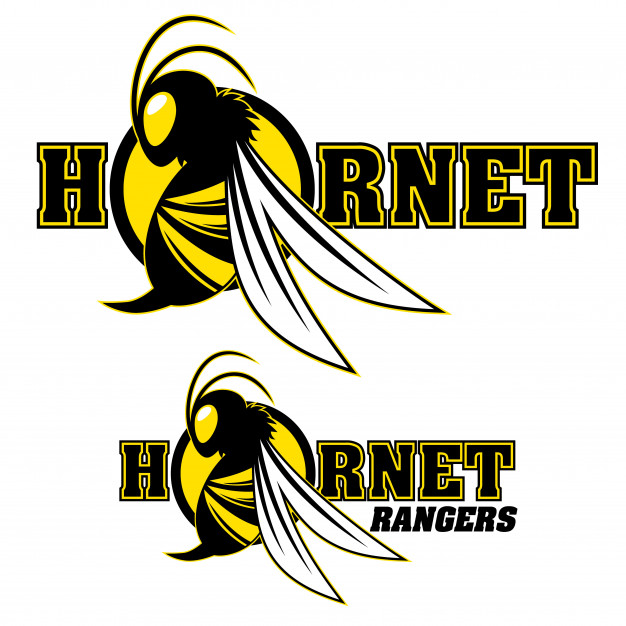 626x626 Hornet Logo Design Vector Premium Download