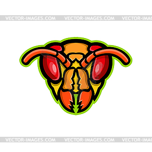 300x300 Hornet Head Mascot