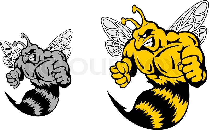 800x499 Angry Hornet Or Yellow Jacket Mascot Stock Vector Colourbox