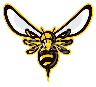 331x300 Hornet Mascot Stock Vectors