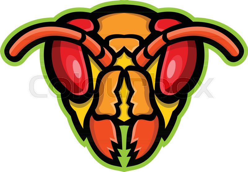 800x555 Mascot Icon Illustration Of Head Of A Stock Vector Colourbox