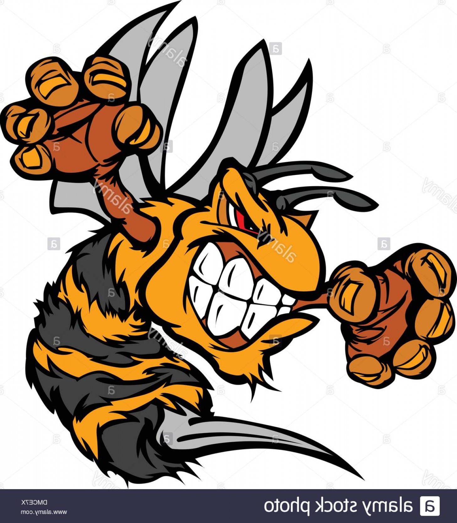 1456x1668 Stock Photo Graphic Vector Image Of A Wasp Or Yellowjacket Mascot