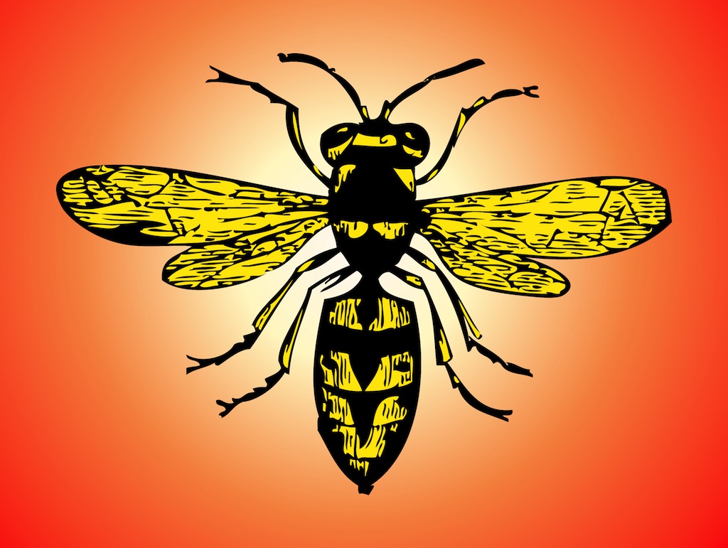 1024x771 Hornet Vector Art Graphics