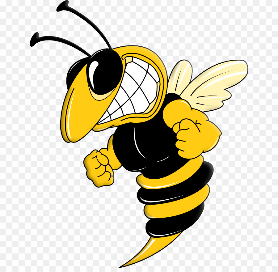 900x880 Bee Vector Png Hornet Bee Clipart Download