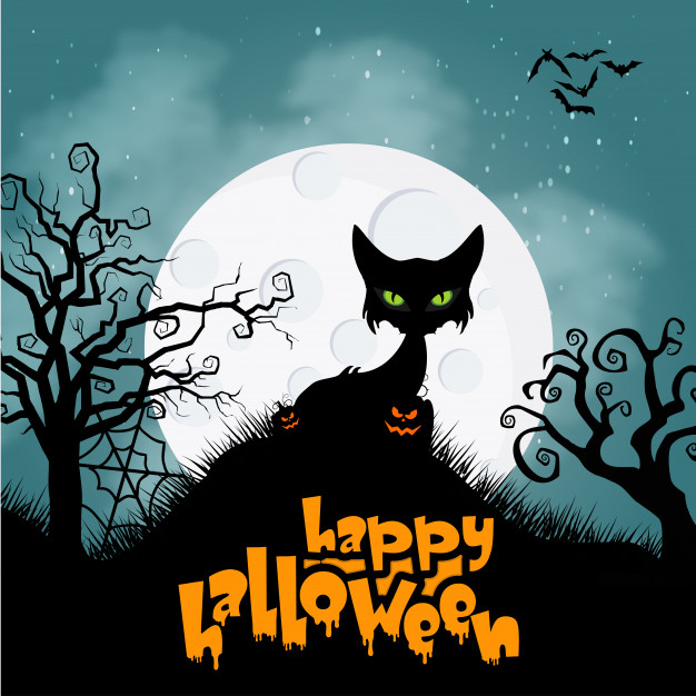 626x626 Horror Cat For Halloween Background Vector Free Download