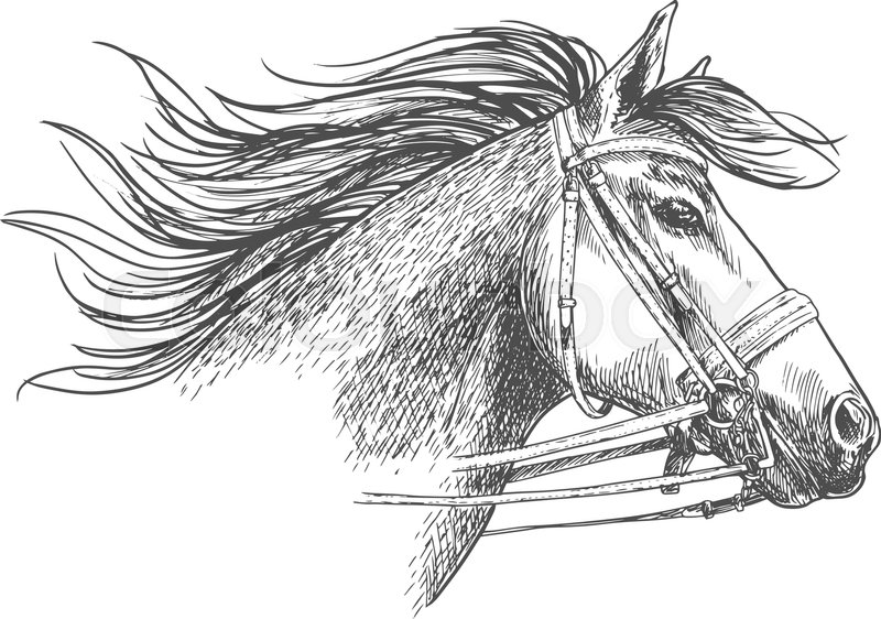 Horse Bit Vector at Collection of Horse Bit Vector free for personal use