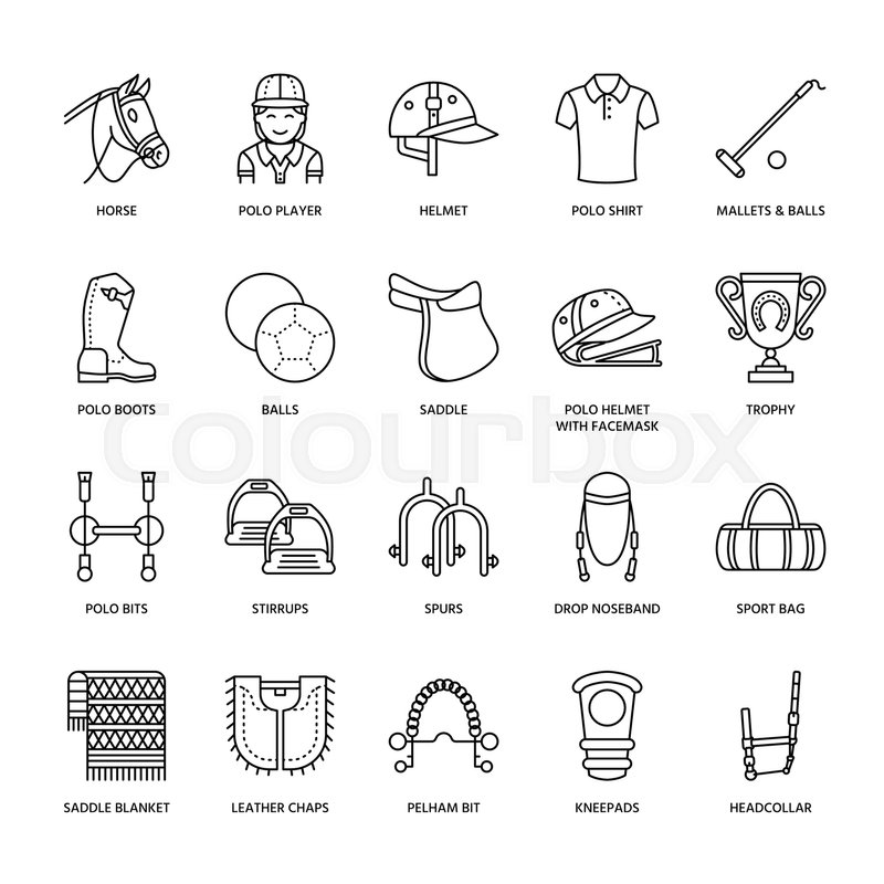 800x800 Horse Polo Flat Line Icons Vector Stock Vector Colourbox