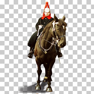 310x310 Page Bit Vector Png Cliparts For Free Download Uihere