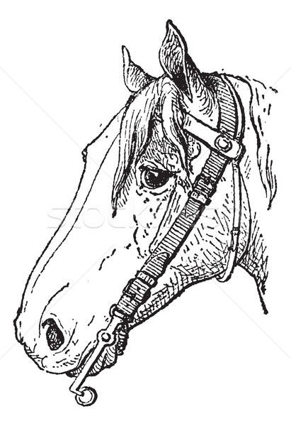 411x600 Bit, A Type Of Horse Tack, Vintage Engraving Vector Illustration