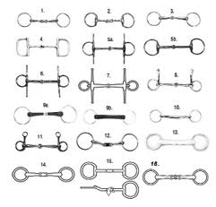 241x231 Bits Understanding The Horse