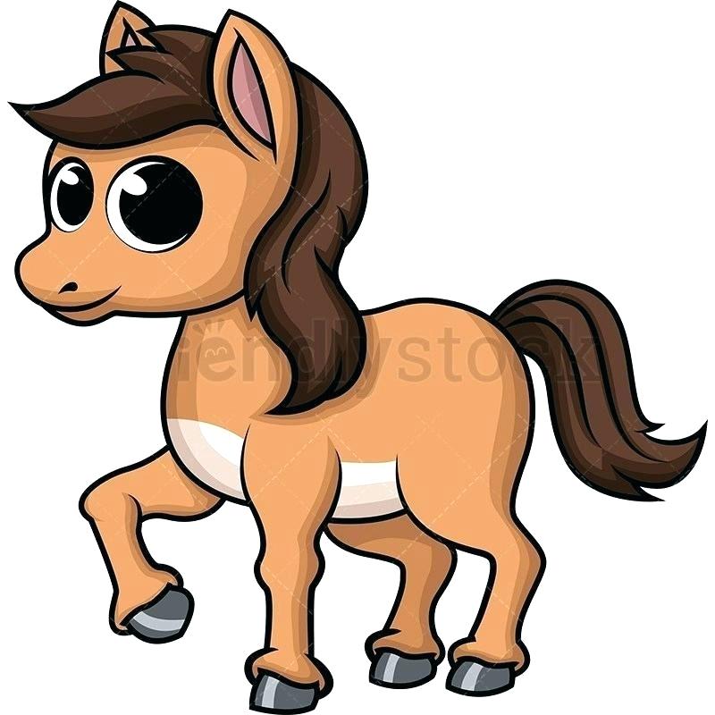 800x800 Cute Horse Cartoon