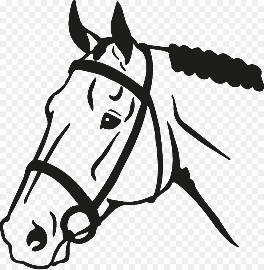 900x920 Horse Face Vector Png Colt Clipart Download