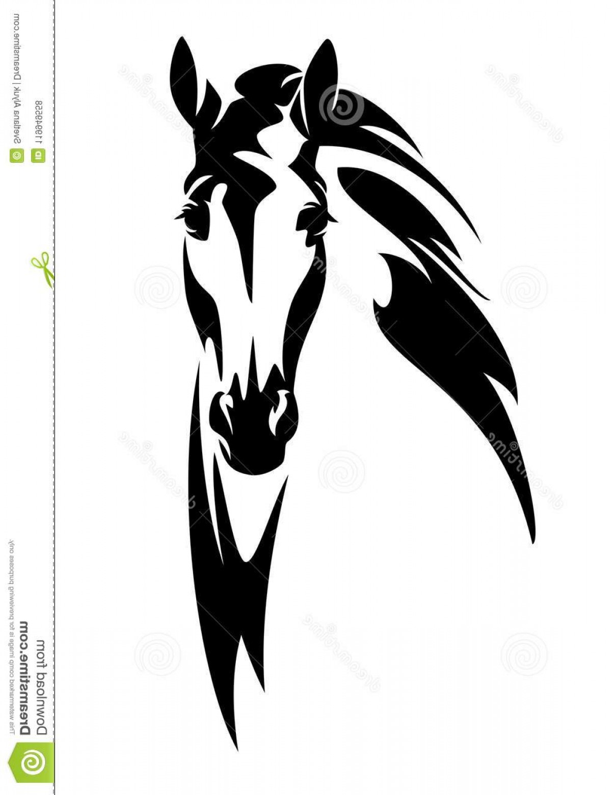 1209x1560 Horse Head En Face Vector Design Front View Black White Image