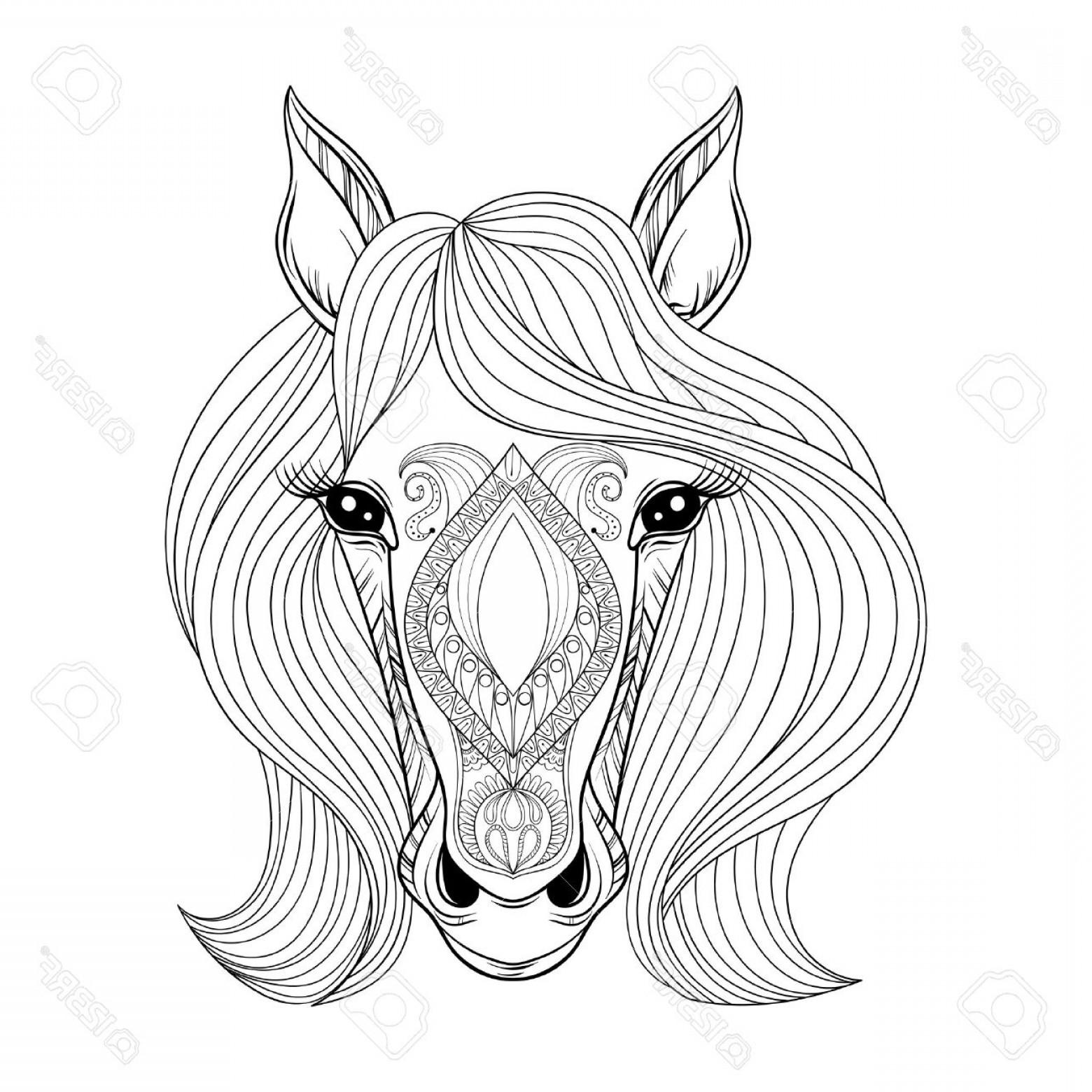 Лошадь раскраска антистресс голова
