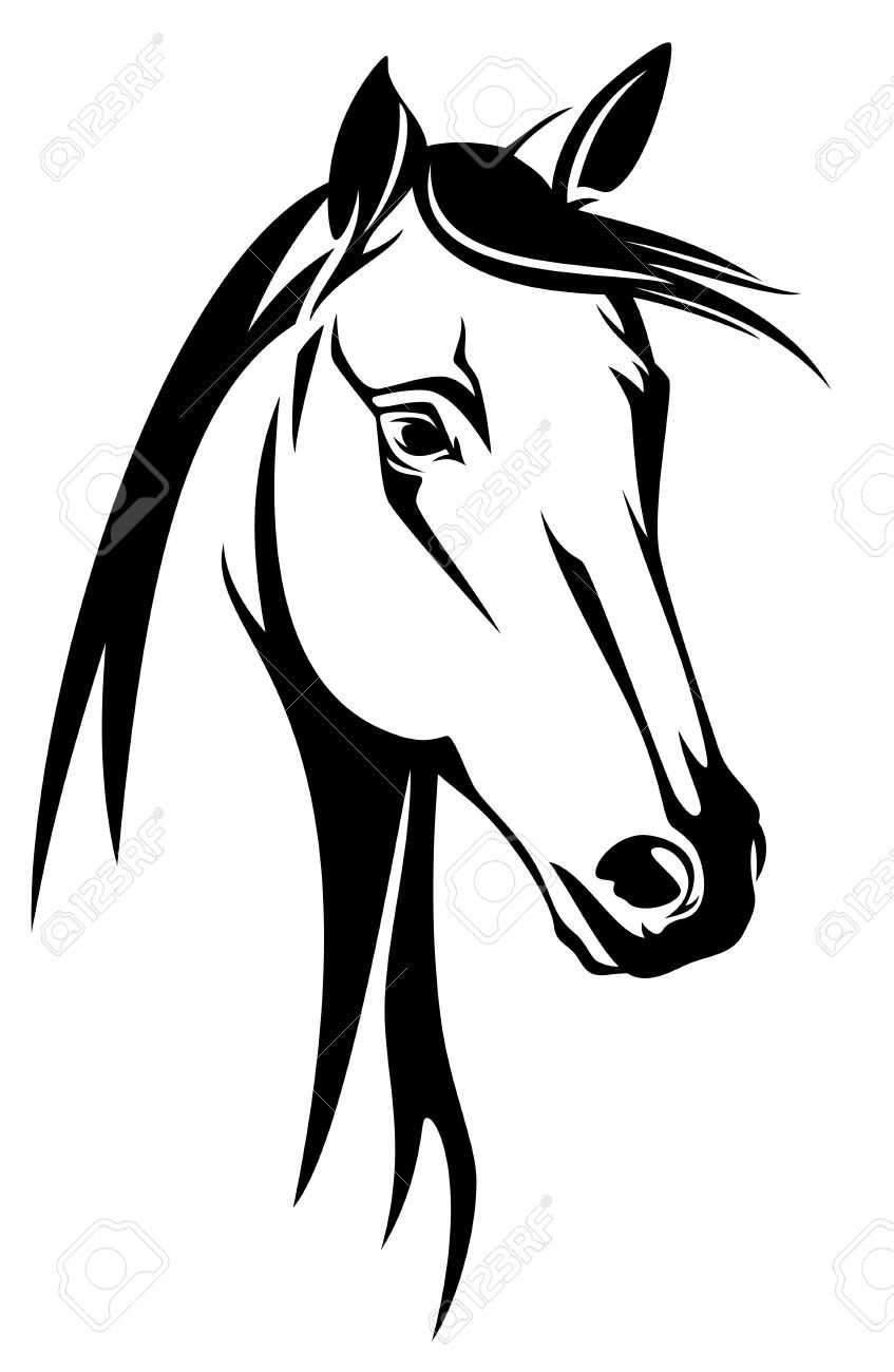 847x1300 Stock Vector Drawings Horse Drawings, Horse Stencil