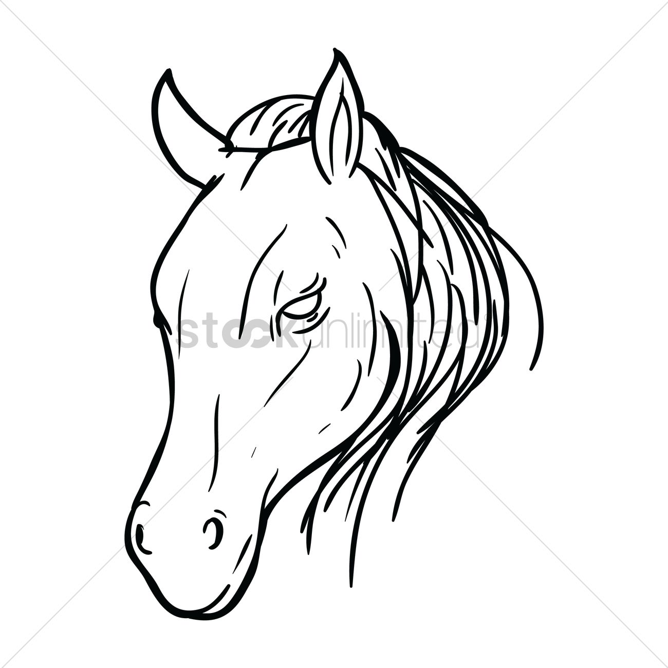 1300x1300 Free Horse Face Vector Image