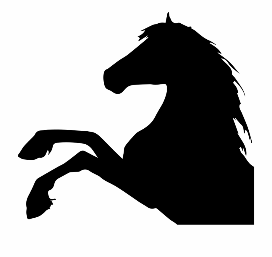920x869 Horse Raising Feet Side View Silhouette Head Part Comments