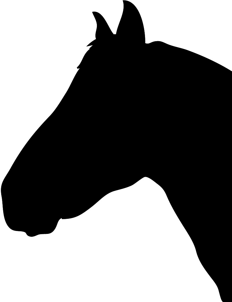 800x1042 Simple Horse Head Silhouette