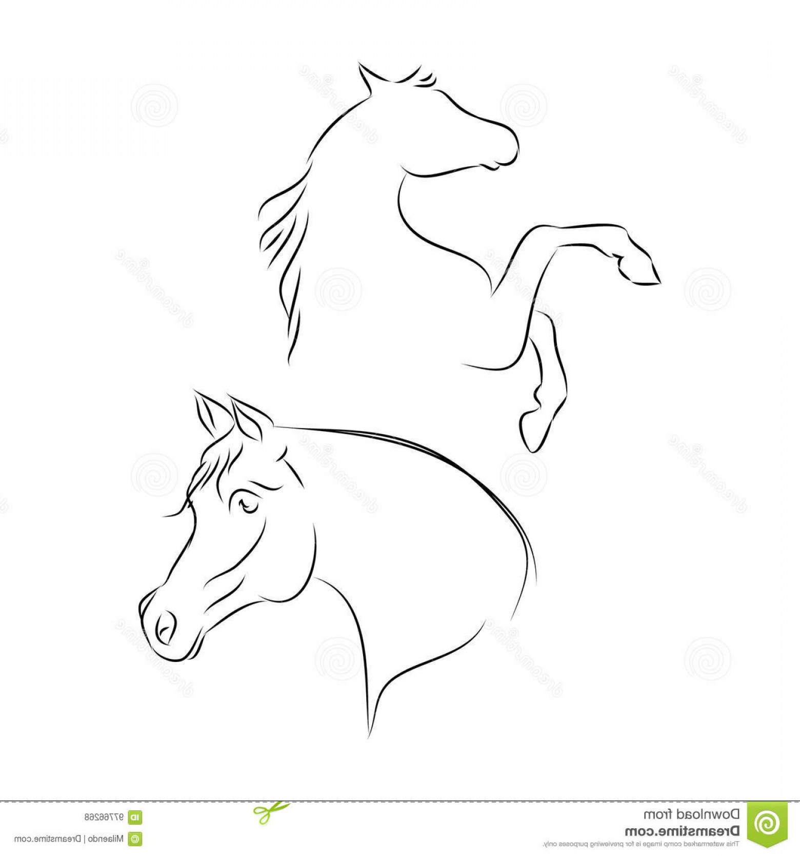 1560x1668 Stock Illustration Arabian Horse Head Outline White Background