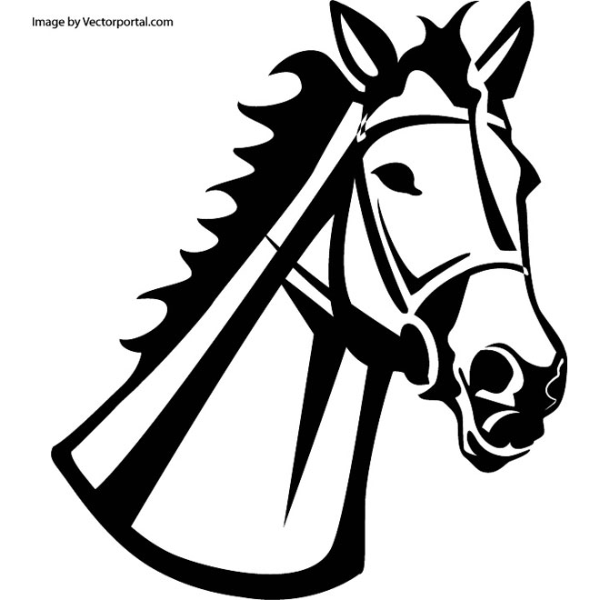 660x660 Horse Head Vector Illustration