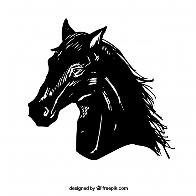 626x626 Black Horse Head Vector Illustration Vector Free Download