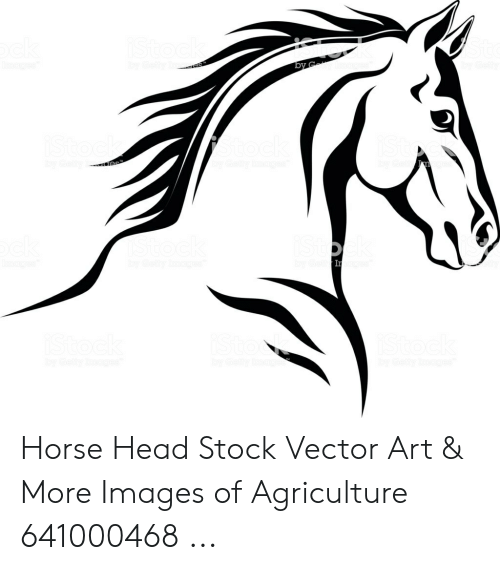 500x570 Horse Head Stock Vector Art More Images Of Agriculture