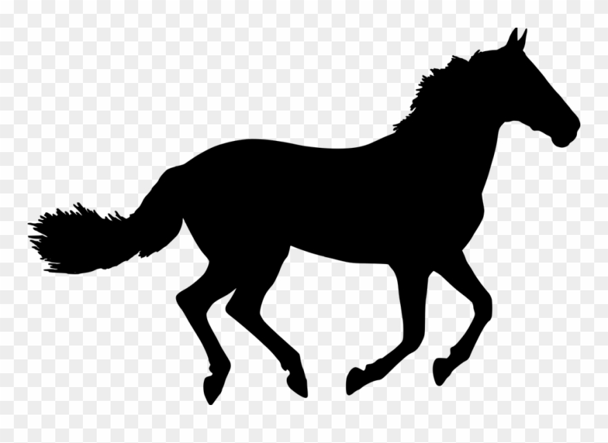 880x641 Horse Head Vector Buy Clip Art